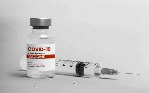 印尼希望今年8月起能够使用国产疫苗 hinh anh 1