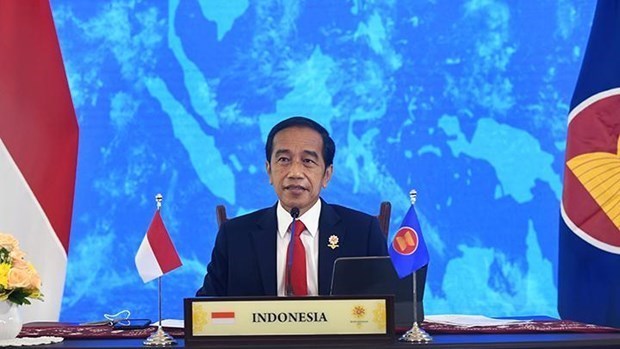 印尼总统将直接任命新首都领导班子 hinh anh 1