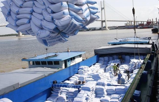 越南向韩国出口的5.51万吨大米获得5%的优惠税率 hinh anh 1