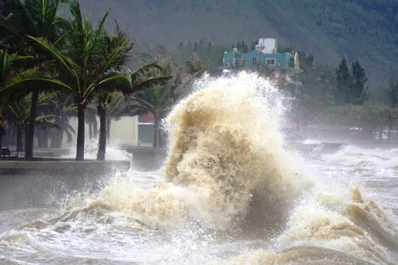 2022年东海可能发生10-12场台风和热带低气压 hinh anh 1