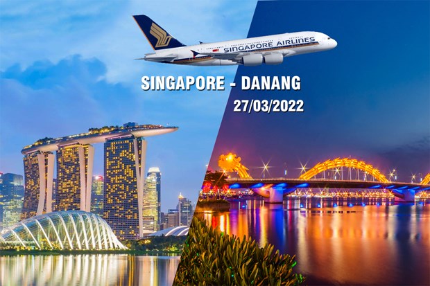 新加坡航空即将重开飞往岘港的国际商业航线 hinh anh 1