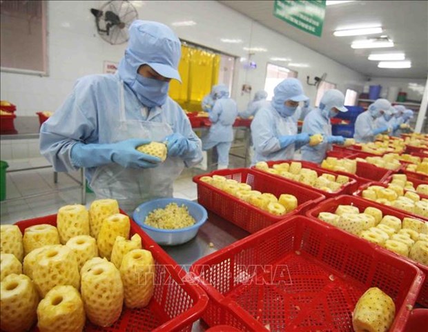 越南蔬果出口企业必须主动扩大出口市场 hinh anh 1