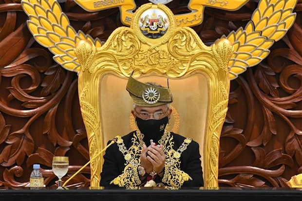 马来西亚国王呼吁国会确保国家复苏 hinh anh 1