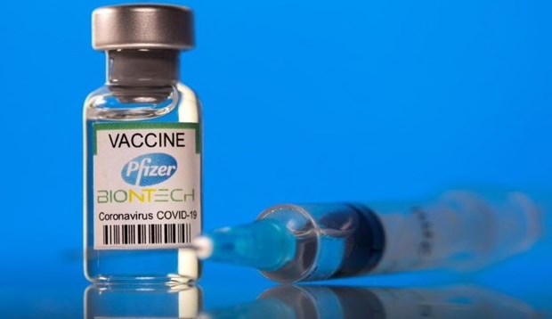 5 岁至 12 岁以下儿童将接种 0.2 毫升剂量的辉瑞疫苗 hinh anh 1