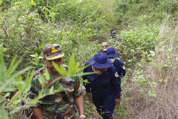 隆安省军事指挥部K73队努力寻找在柬埔寨牺牲的同志遗骸 hinh anh 1
