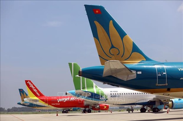 各家航空公司提出将在乌越南公民接回国的方案 hinh anh 1