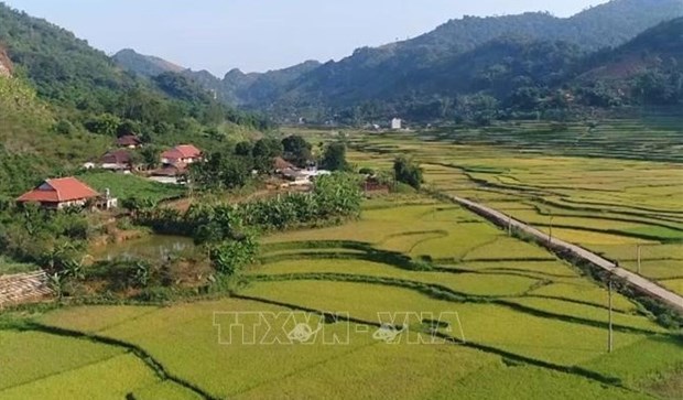 越南2021-2025年新农村建设国家目标计划正式获批 hinh anh 1