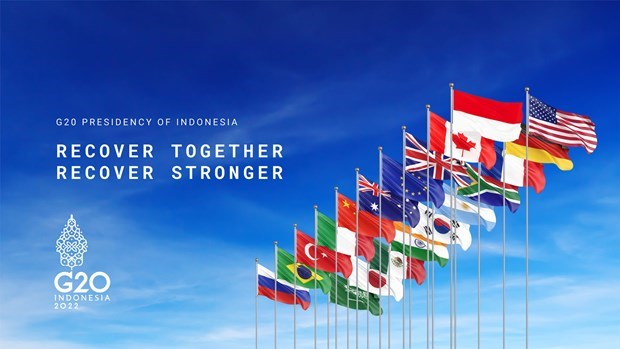 印尼计划在20国集团主席国任期中推动经济转型 hinh anh 1