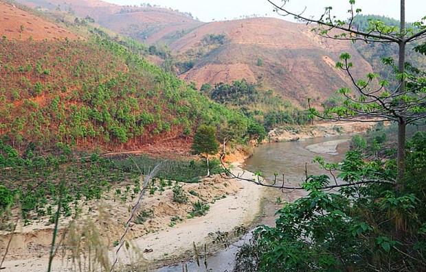 越南全国还有120万多公顷未利用土地 hinh anh 1