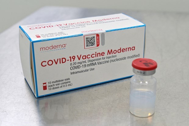 越南药物管理局宣布延长Spikevax新冠疫苗的保质期 hinh anh 1