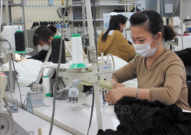 日本企业在新冠肺炎疫情下帮助越南人就业 hinh anh 1