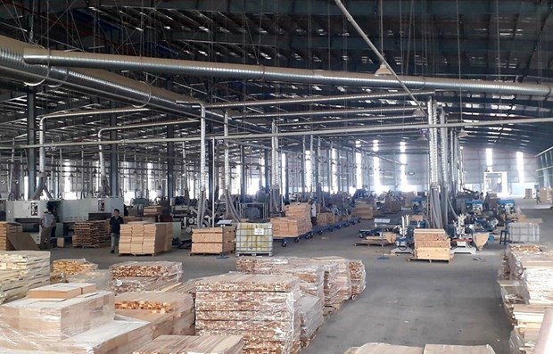 越南木材企业寻找措施应对俄乌紧张局势的影响 hinh anh 1