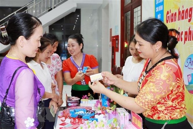 联合国人口基金高度评价越南为改善生殖健康所作出的努力 hinh anh 2