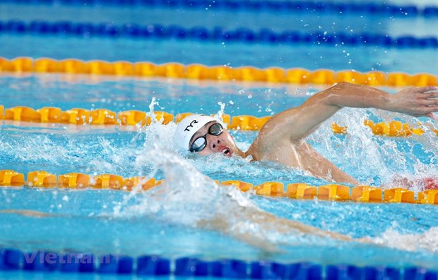 越南游泳队32名运动员报名参加第31届东运会游泳赛项 hinh anh 1