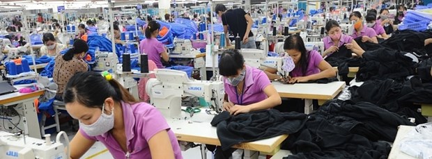 越南纺织品服装业实现“绿色化”发展 hinh anh 1