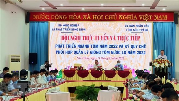 越南虾类行业力争实现2022年出口额达40亿美元的目标 hinh anh 1