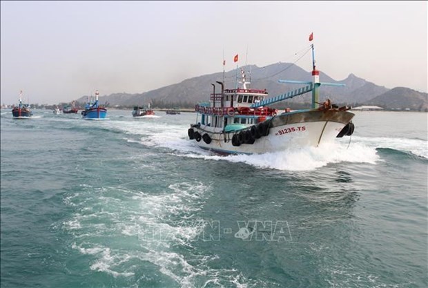 越南茶荣省超过80%远海捕捞渔船已装置航程监视设备 hinh anh 1