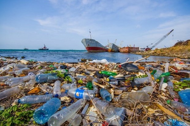 越南采用遥感技术监控沿海地区塑料垃圾污染程度 hinh anh 1