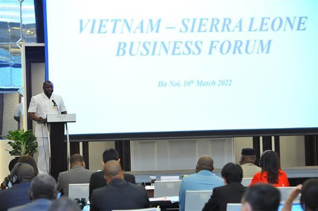 加强越南和塞拉利昂间贸易促进与投资活动 hinh anh 2