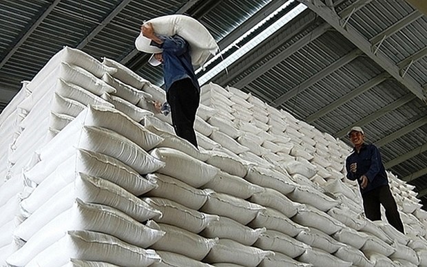 越南政府向三省份免费发放大米和作物种子 hinh anh 1