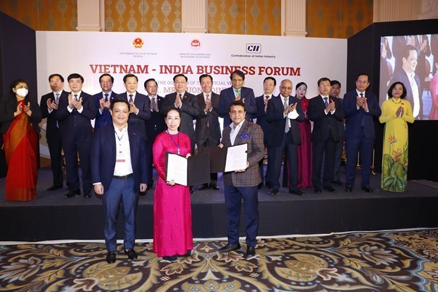 激发越南与印度的贸易与投资合作潜力 hinh anh 1