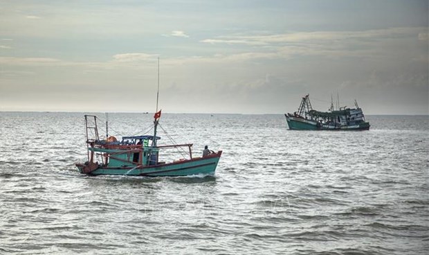 越南可持续渔业：通过卫星管理渔船 致力解除 IUU “黄牌警告” hinh anh 1