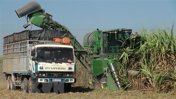越南工贸部延长对入境蔗糖产品的反规避调查期限 hinh anh 1