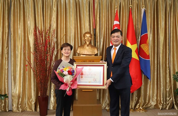越南向新加坡驻越南前大使授予友谊勋章 hinh anh 1