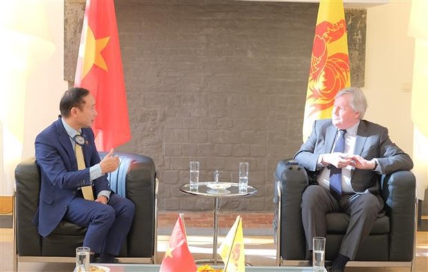 越南加强与比利时瓦隆大区议会的合作关系 hinh anh 1