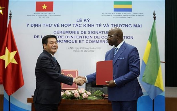 促进越南与加蓬之间的经贸合作关系 hinh anh 1