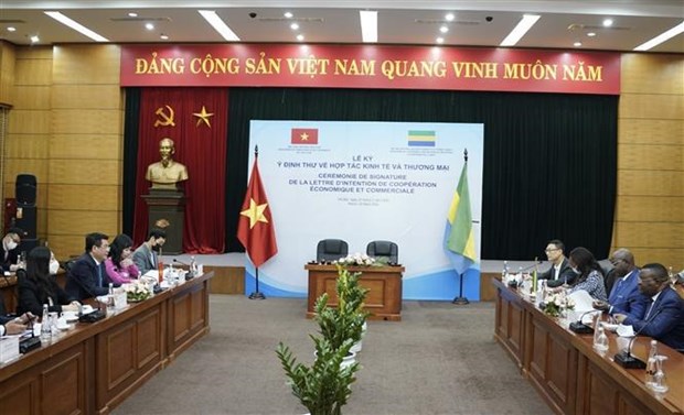 促进越南与加蓬之间的经贸合作关系 hinh anh 2