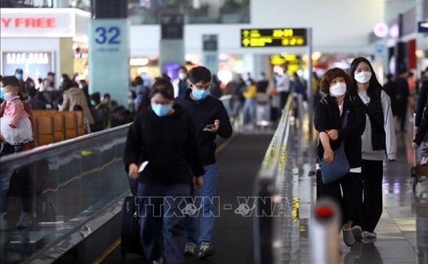 越南各家航空公司国际航班客满率正在增加 hinh anh 1