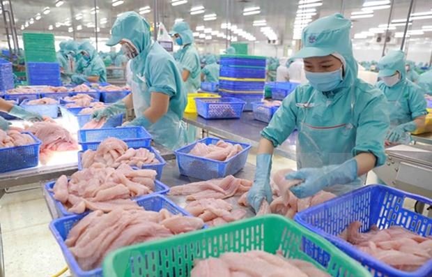 2022年第一季度美国是越南最大的农产品出口市场 hinh anh 1