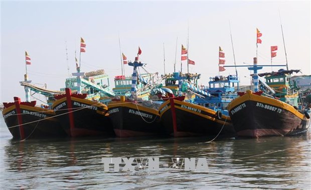 平顺省挖掘水产业潜力 推动渔业可持续发展 hinh anh 1