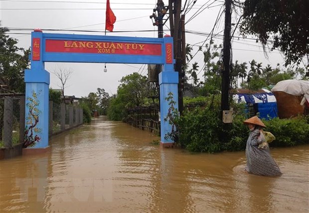 越南中部与西原地区主动应对自然灾害 hinh anh 1