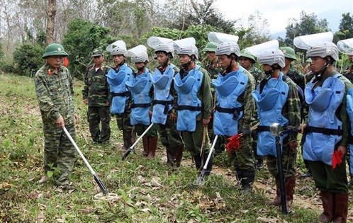 越南常驻联合国代表分享克服战争遗留地雷后果的经验 hinh anh 2