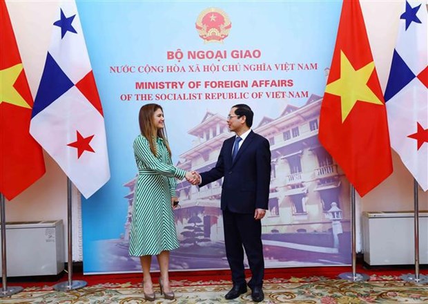 越南与巴拿马两国外交部长举行会谈 hinh anh 1
