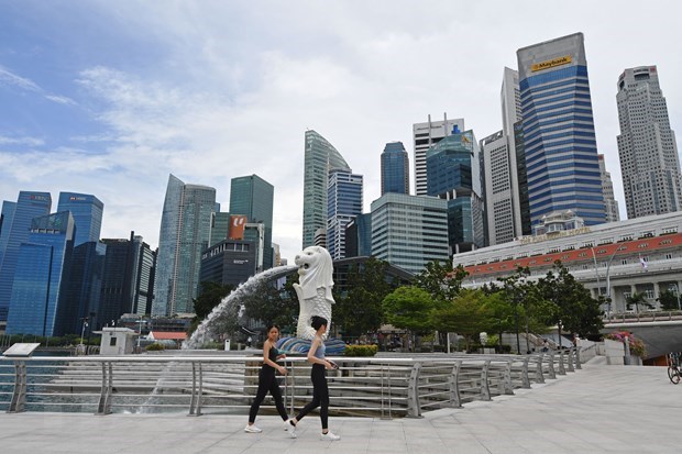 新加坡努力恢复旅游业 hinh anh 1