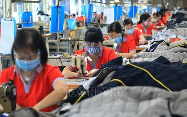 越南劳动力市场逐步复苏 hinh anh 1