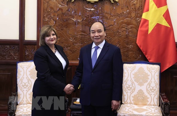 越南国家主席会见前来递交国书的白俄罗斯和埃及大使 hinh anh 2