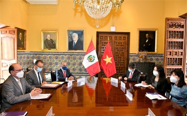 秘鲁将越南视为东南亚重要伙伴 hinh anh 1