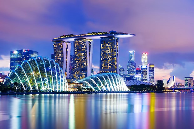 越南是新加坡旅游的重要市场 hinh anh 1