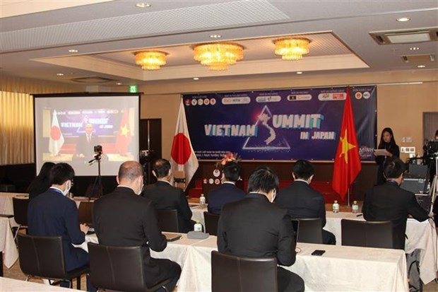旅日越南知识分子协会为促进越日两国友谊做出贡献 hinh anh 1