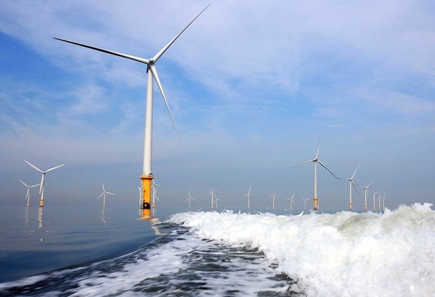 菲律宾公布海上风电发展路线图 hinh anh 1