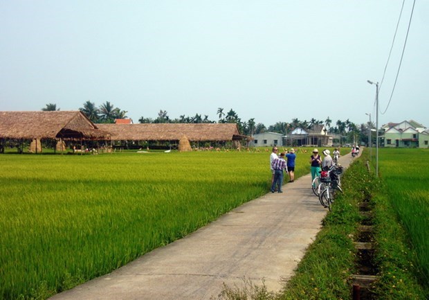2002年国家旅游年：遗产之地田野上的越南印象 hinh anh 1