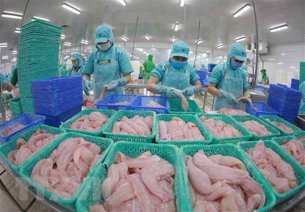 新冠肺炎疫情后促进向中国市场出口农产品和水产品 hinh anh 1