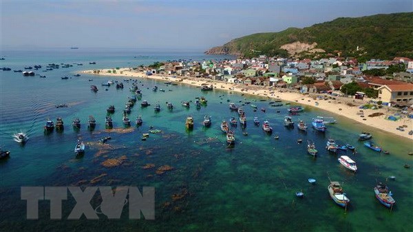 越南沿海省市陆续举行涉及海洋旅游的活动 hinh anh 1