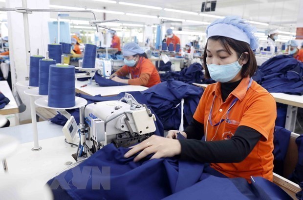 越南纺织产业恢复强劲增长势头 hinh anh 1