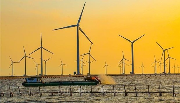 能源多样性：海上风电的发展潜力 hinh anh 1