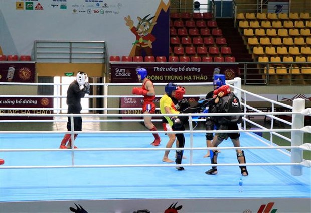 第31届东运会：越南跆拳道队力争摘下至少4枚金牌 hinh anh 1